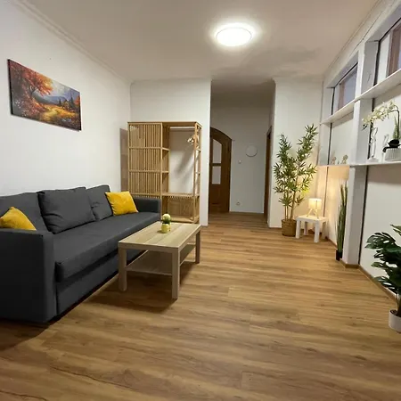 Revliving Premium Center